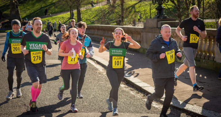 Los 10 Mejores Consejos para tu Primera Carrera de 5K